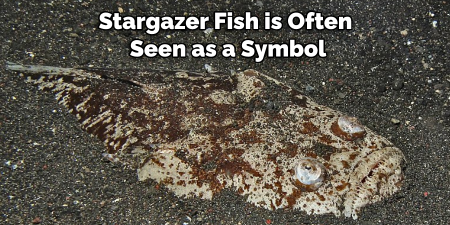 Stargazer Fish is Often Seen as a Symbol
