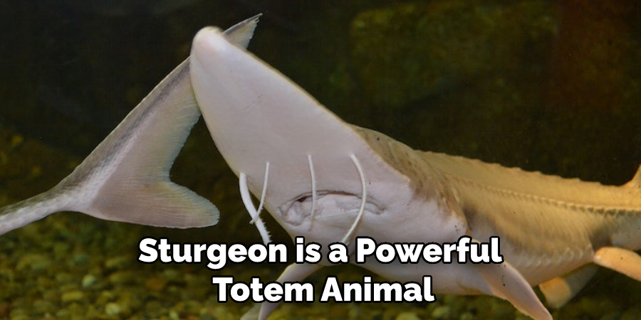 Sturgeon is a Powerful Totem Animal