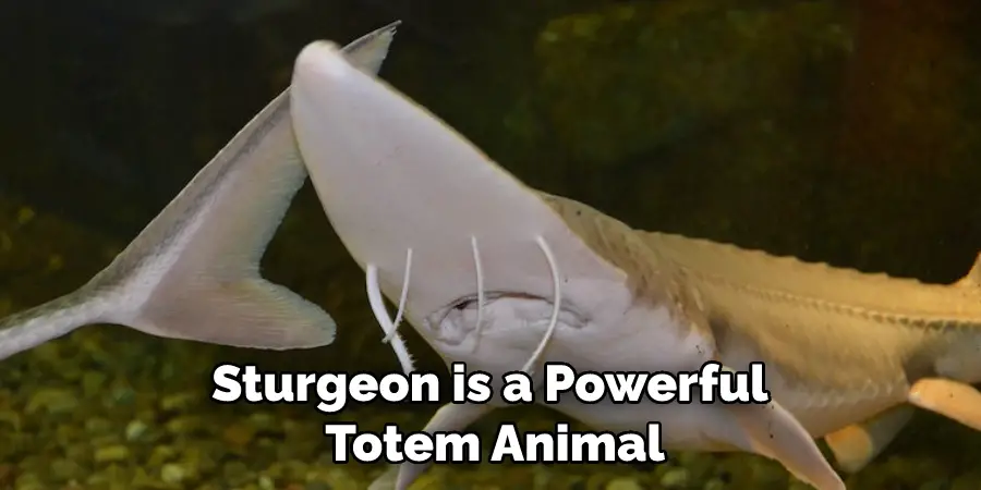 Sturgeon is a Powerful Totem Animal