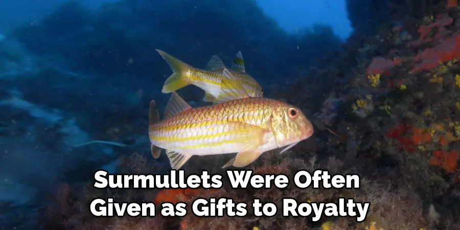 Surmullets Were Often Given as Gifts to Royalty