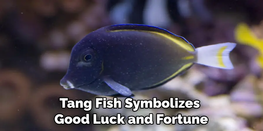 Tang Fish Symbolizes Good Luck and Fortune