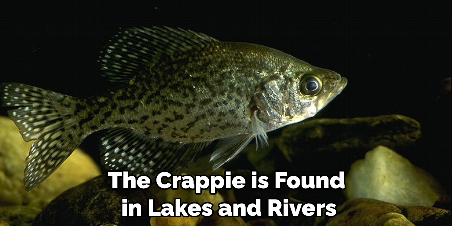 The Crappie is Found in Lakes and Rivers