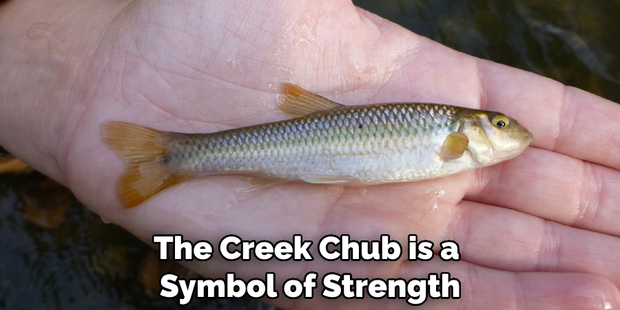 The Creek Chub is a Symbol of Strength