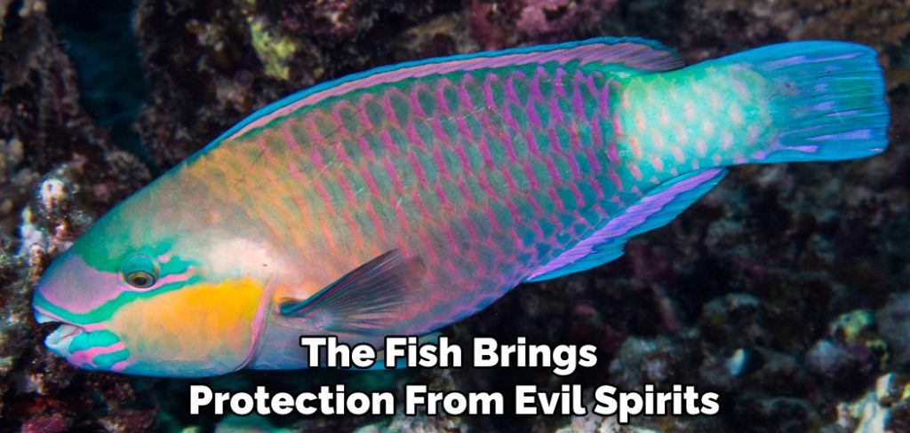 The Fish Brings Protection From Evil Spirits