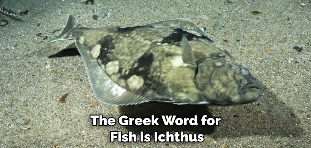 The Greek Word for Fish is Ichthus
