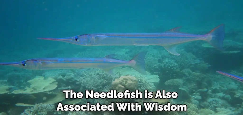 The Needlefish is Also Associated With Wisdom