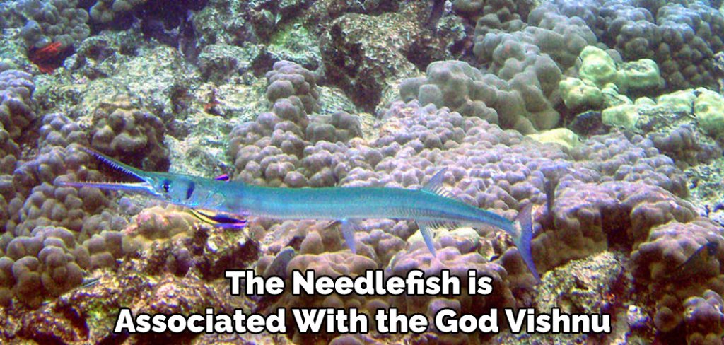 The Needlefish is Associated With the God Vishnu