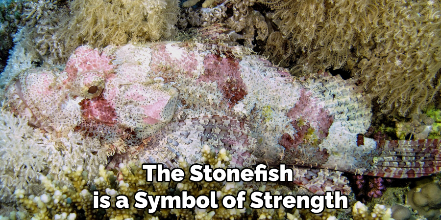 The Stonefish is a Symbol of Strength
