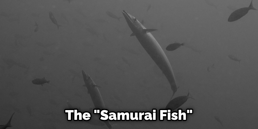 The "Samurai Fish"