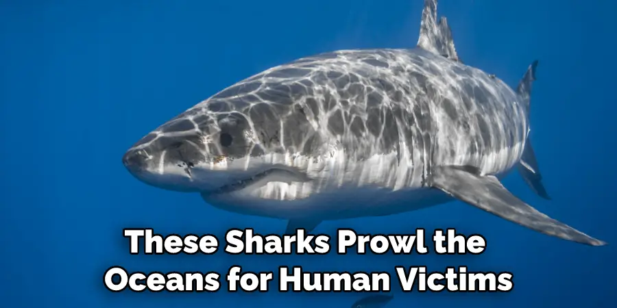 These Sharks Prowl the Oceans for Human Victims