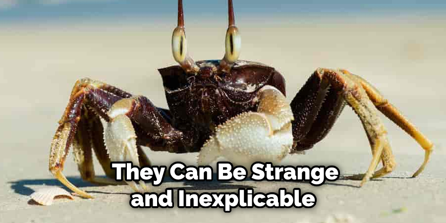  They Can Be Strange and Inexplicable