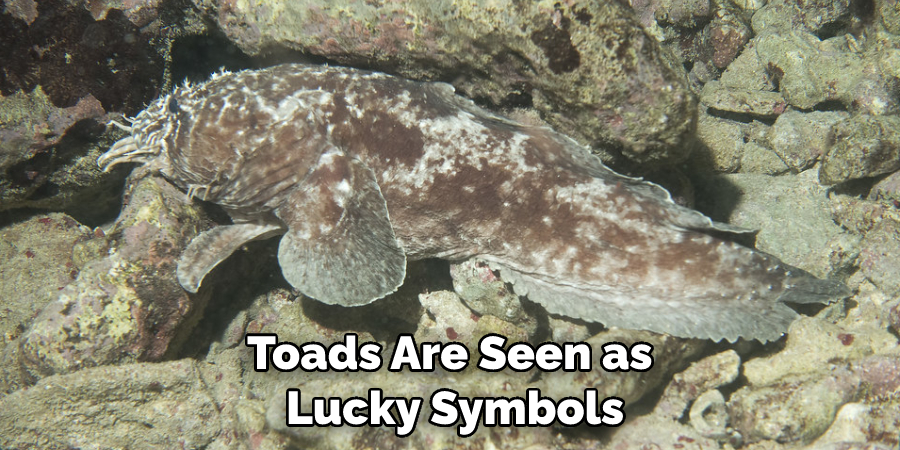Toads Are Seen as Lucky Symbols