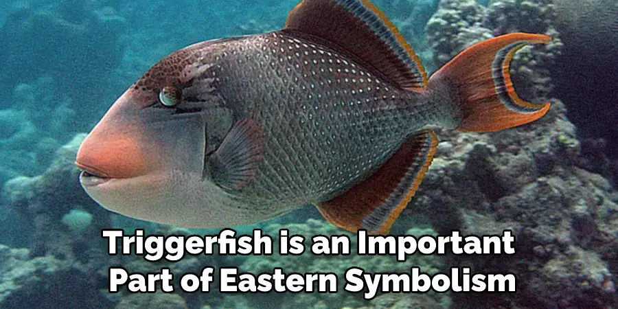 Triggerfish is an Important Part of Eastern Symbolism