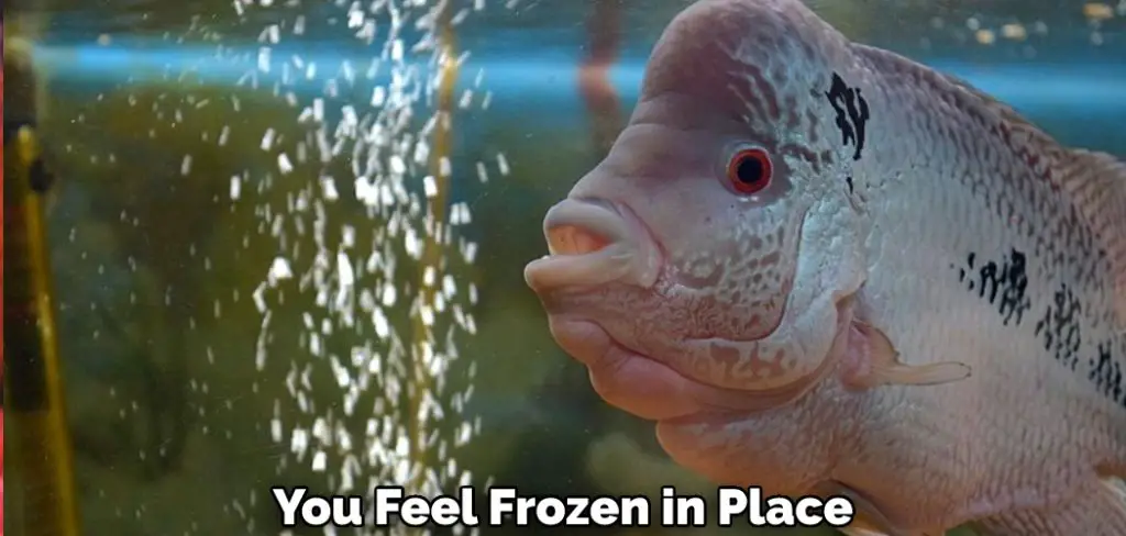 You Feel Frozen in Place