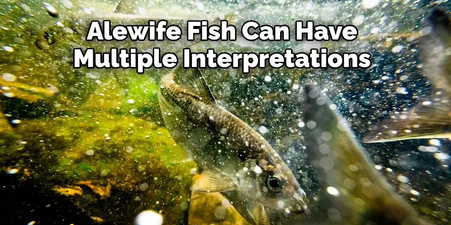 Alewife Fish Can Have
Multiple Interpretations