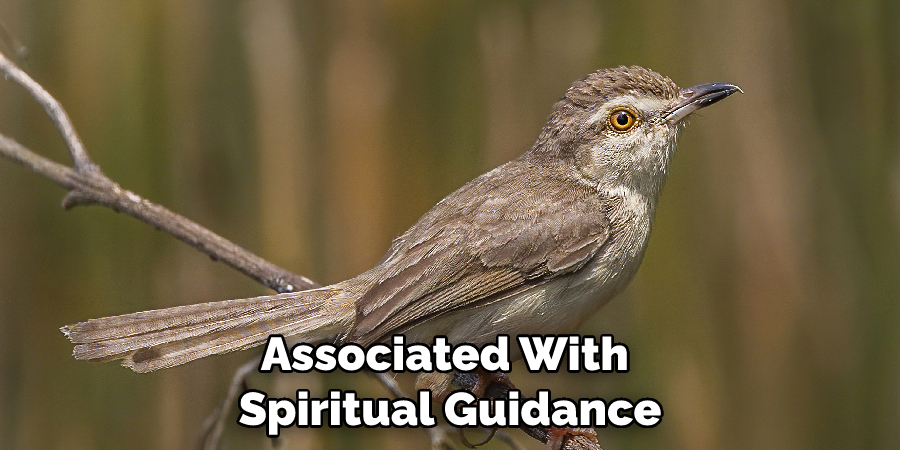 Associated With Spiritual Guidance
