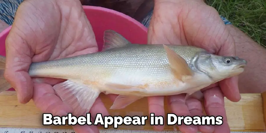 Barbel Appear in Dreams