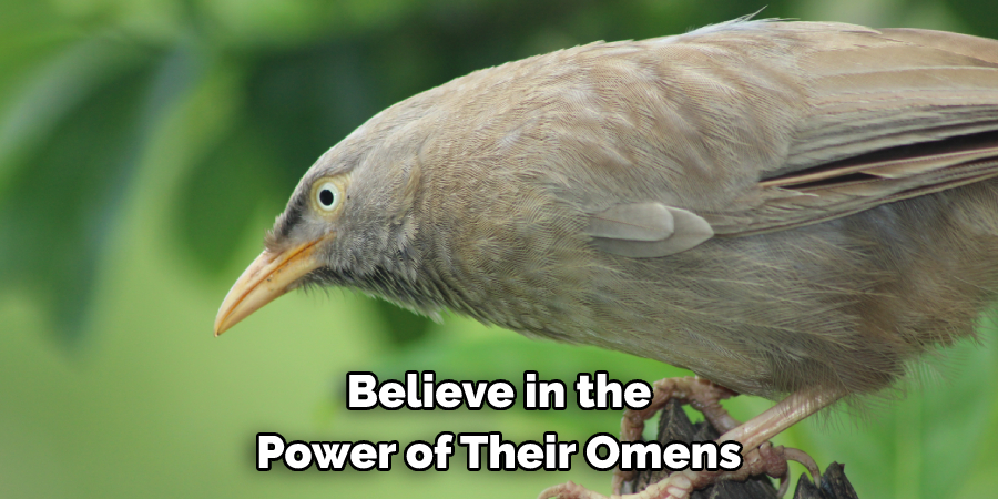 Believe in the
Power of Their Omens