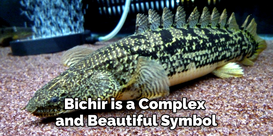 Bichir is a Complex 
and Beautiful Symbol