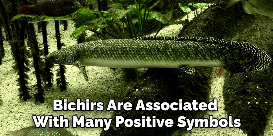 Bichirs Are Associated With Many Positive Symbols