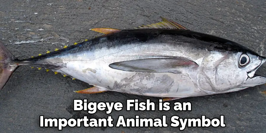 Bigeye Fish is an
Important Animal Symbol