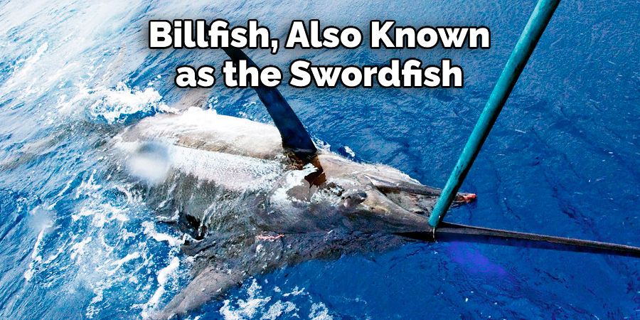 Billfish, Also Known as the Swordfish 