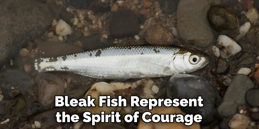 Bleak Fish Represent
the Spirit of Courage