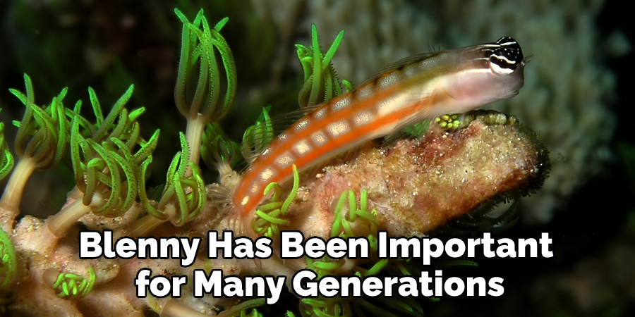 Blenny Has Been Important for Many Generations
