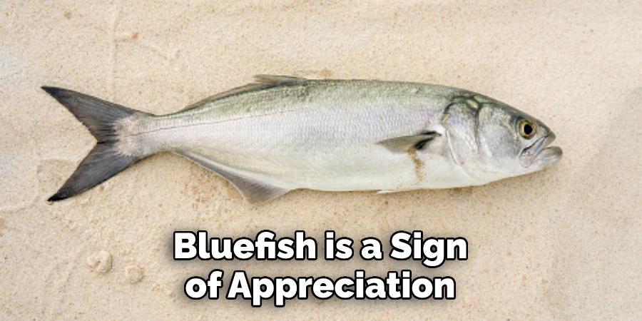 Bluefish is a Sign of Appreciation
