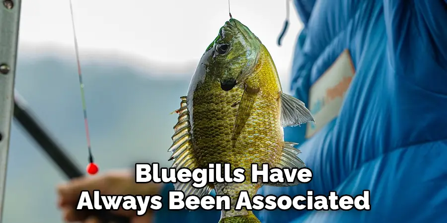 Bluegills Have Always Been Associated
