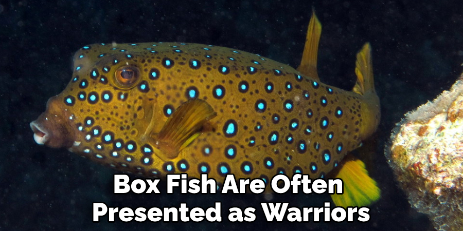 Box Fish Are Often 
Presented as Warriors