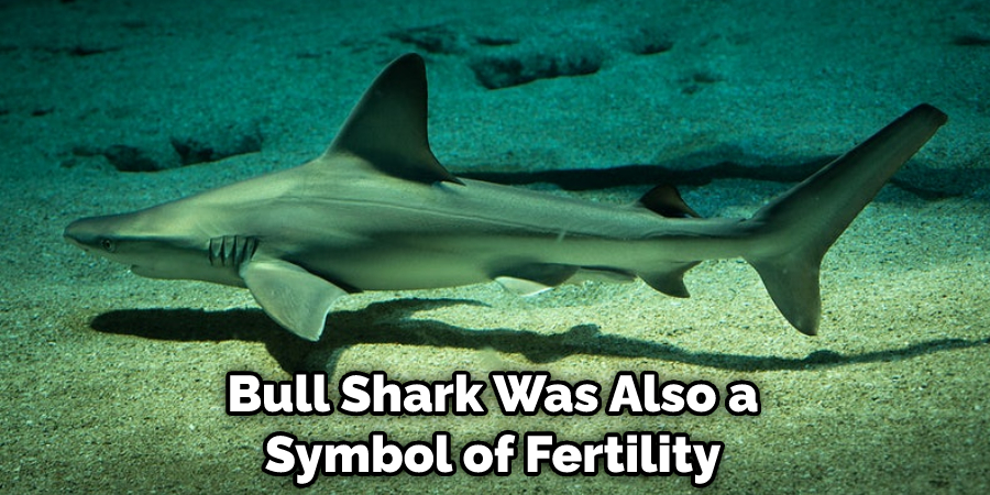 Bull Shark Was Also a Symbol of Fertility