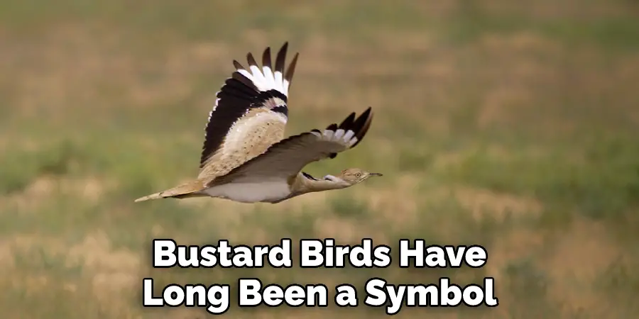 Bustard Birds Have Long Been a Symbol