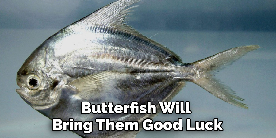Butterfish Will Bring Them Good Luck