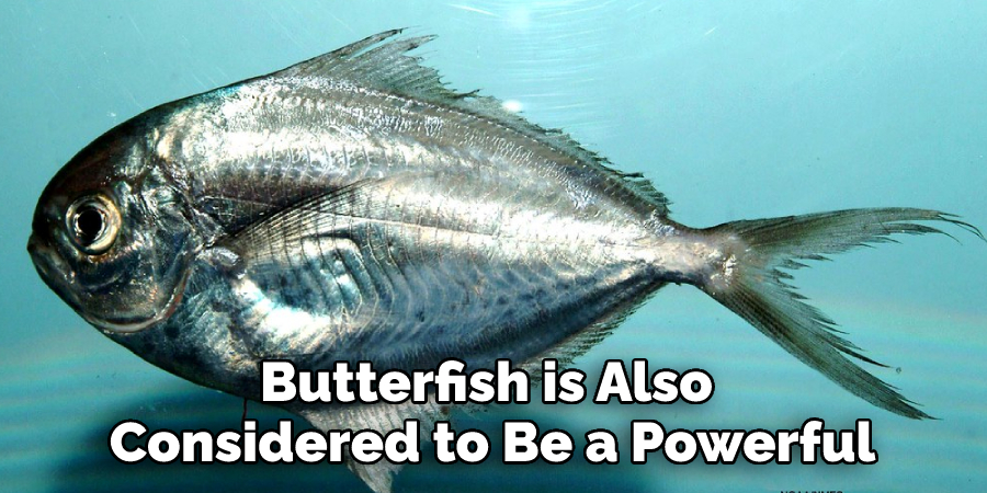Butterfish is Also Considered to Be a Powerful