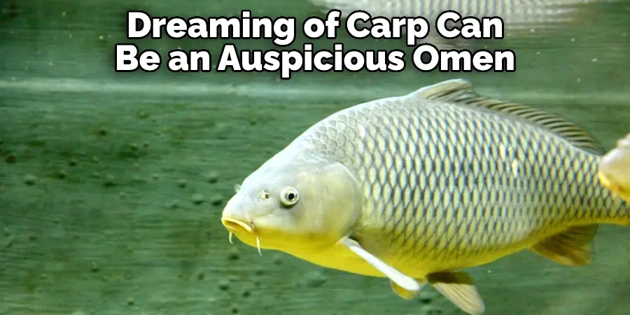 Dreaming of Carp Can
Be an Auspicious Omen