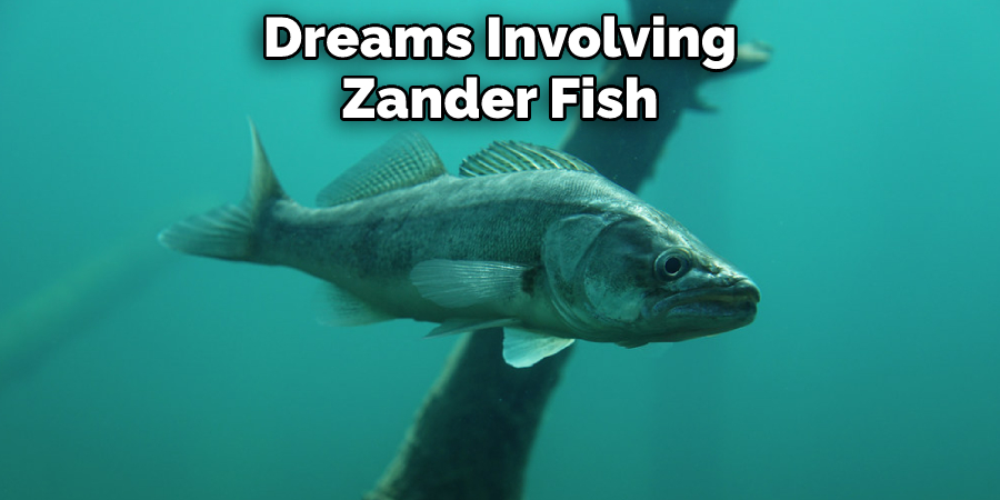 Dreams Involving
Zander Fish