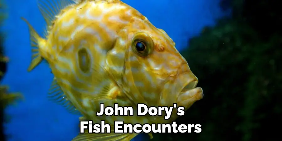 John Dory's
Fish Encounters