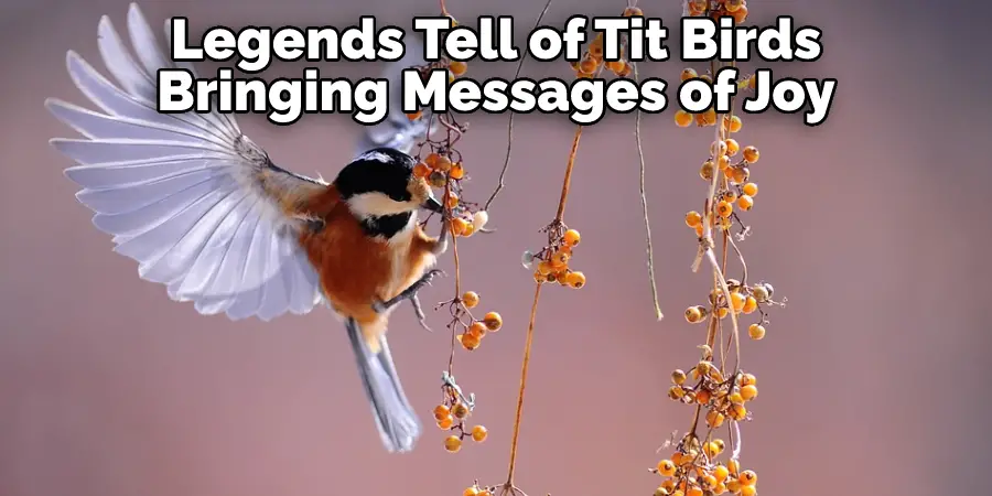 Legends Tell of Tit Birds Bringing Messages of Joy
