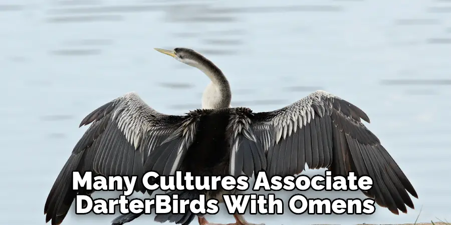 Many Cultures Associate 
DarterBirds With Omens