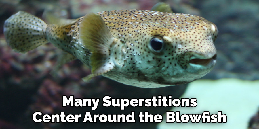 Many Superstitions Center Around the Blowfish