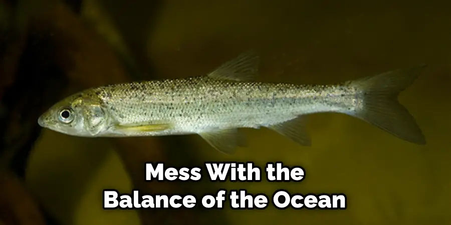 Mess With the Balance of the Ocean