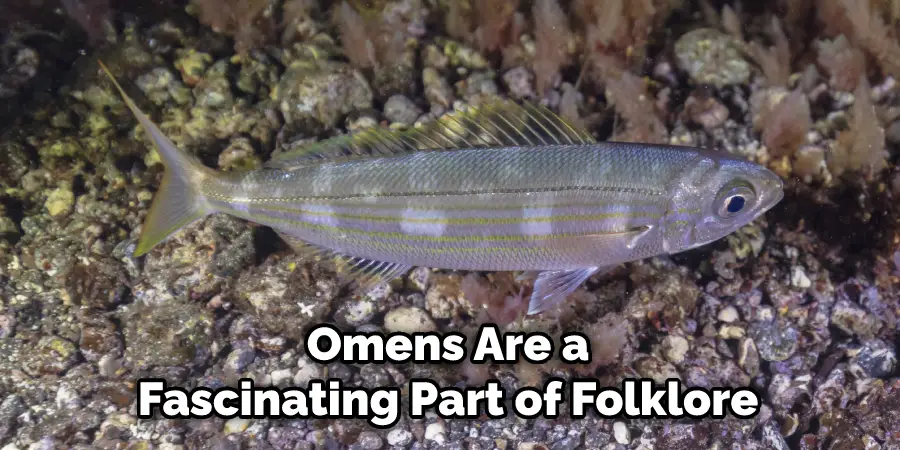 Omens Are a Fascinating Part of Folklore