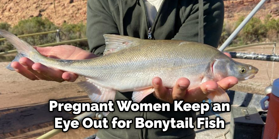 Pregnant Women Keep an Eye Out for Bonytail Fish