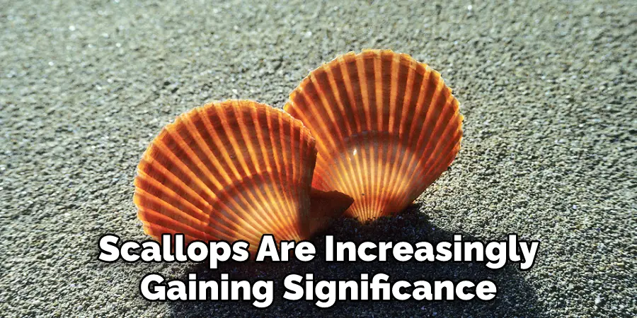 Scallops Are Increasingly
Gaining Significance