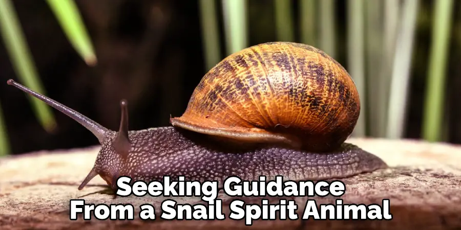 Seeking Guidance From a Snail Spirit Animal