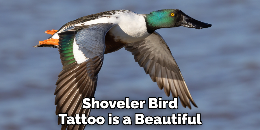 Shoveler Bird Tattoo is a Beautiful