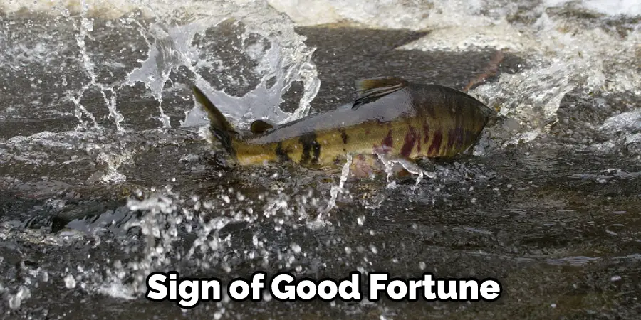  Sign of Good Fortune