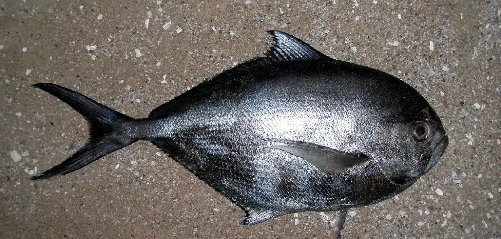 Silver Pomfret Spiritual Meaning