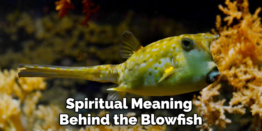 Spiritual Meaning 
Behind the Blowfish